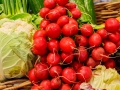 Der Obstladenund was dazugehoert 230314imgl0284