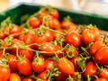 Der Obstladenund was dazugehoert 230314imgl0359